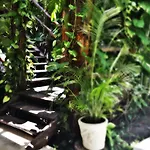 Meson De Tulum