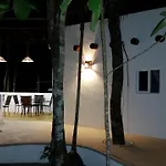 Jungle Dust Cancun
