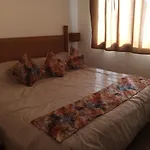 Casa Geckos - Lizard