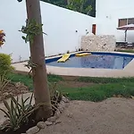 Casa Geckos - Lizard