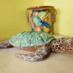 Cancun Guest House 1