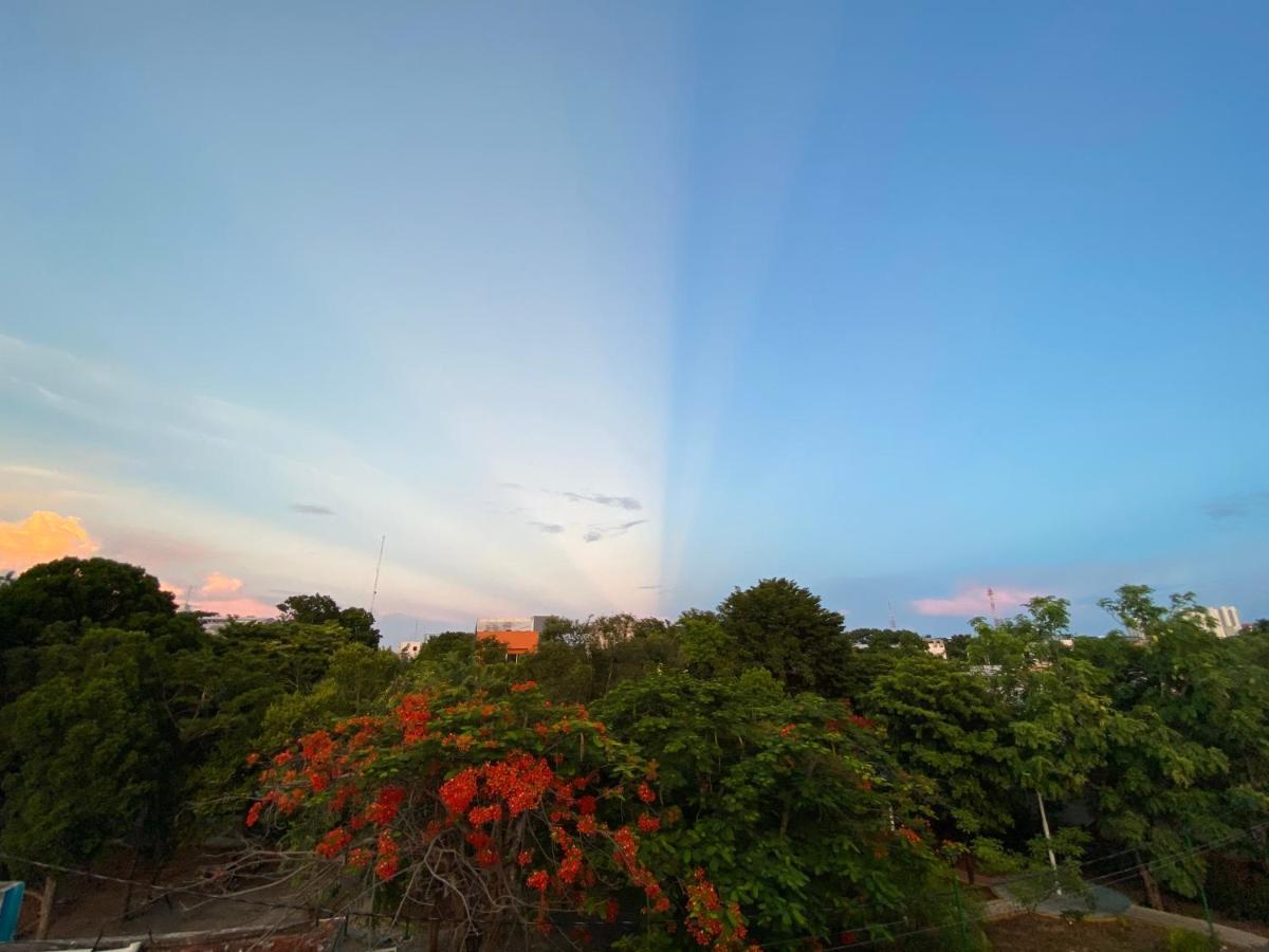 Bed & Breakfast The Quetzal