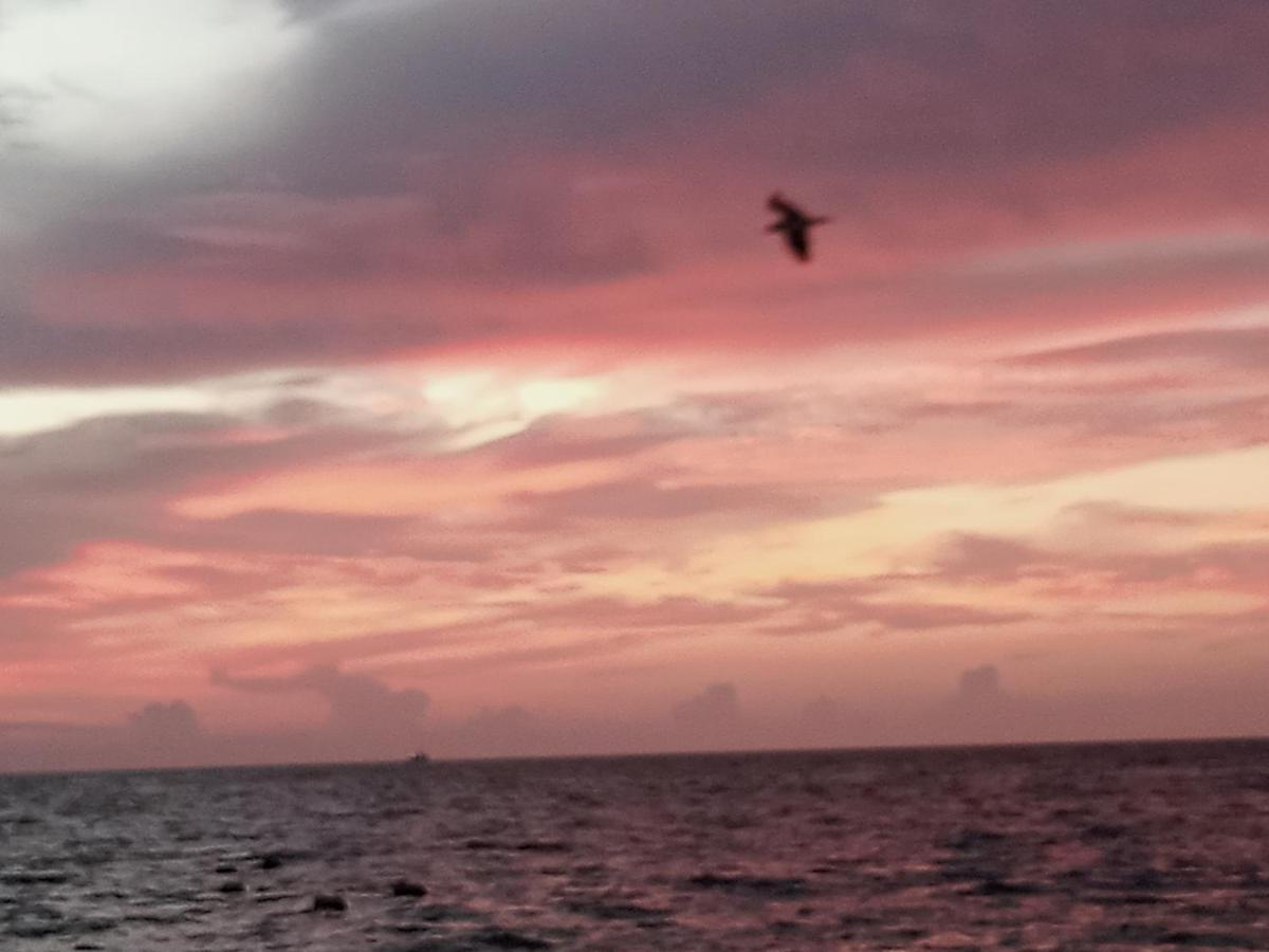 Homestay Corazon Del Pescador Cancun