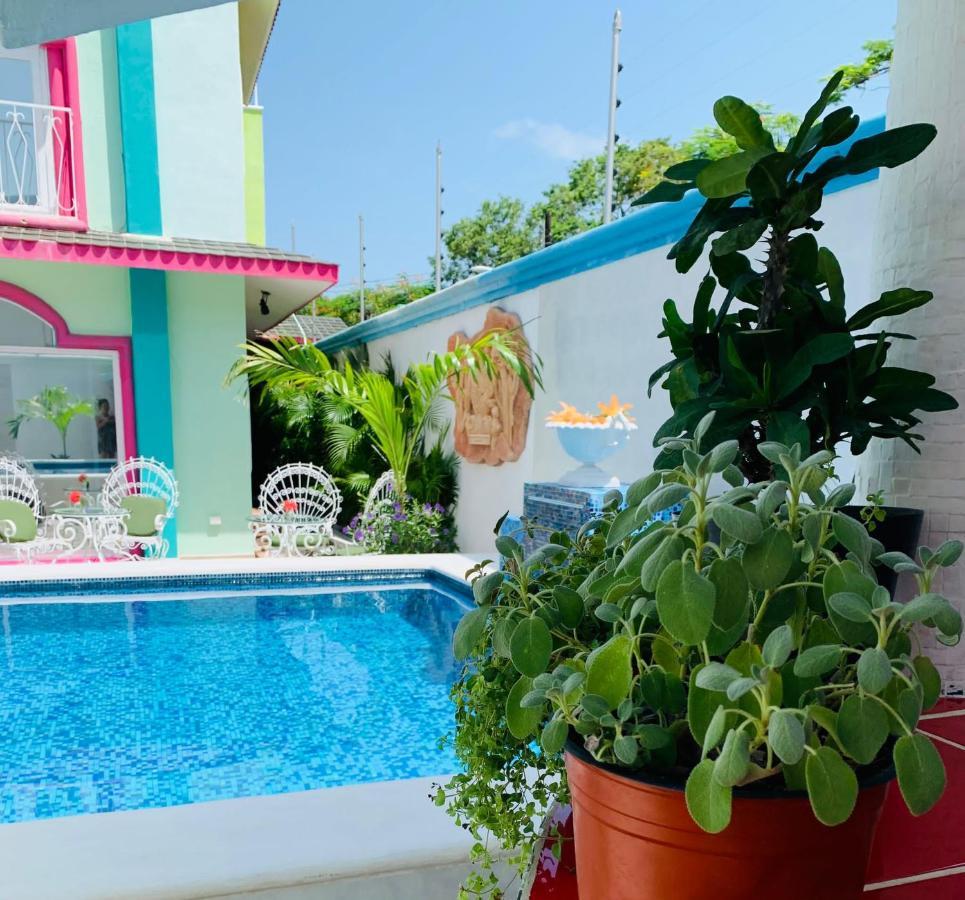 Bed & Breakfast The Quetzal Cancun