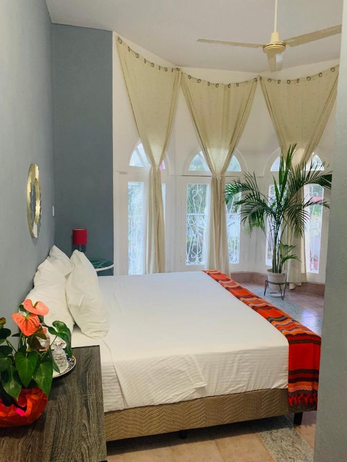 Bed & Breakfast The Quetzal