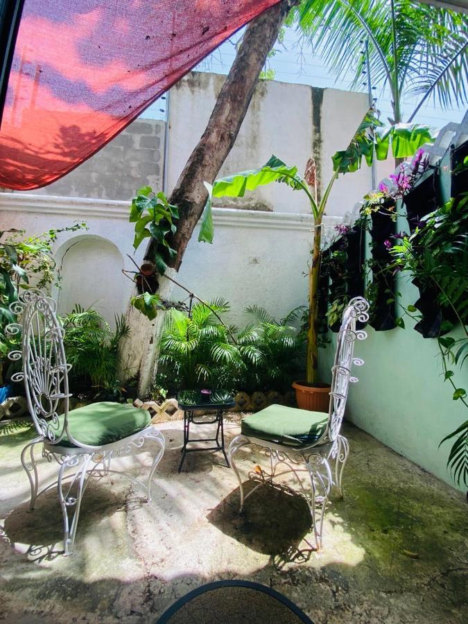 Bed & Breakfast The Quetzal