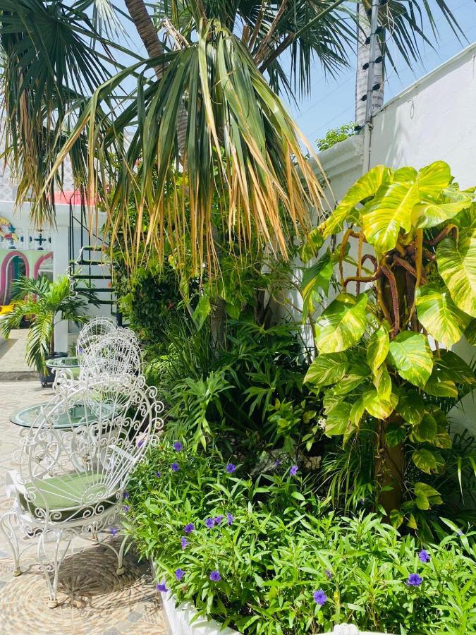 The Quetzal Bed & Breakfast