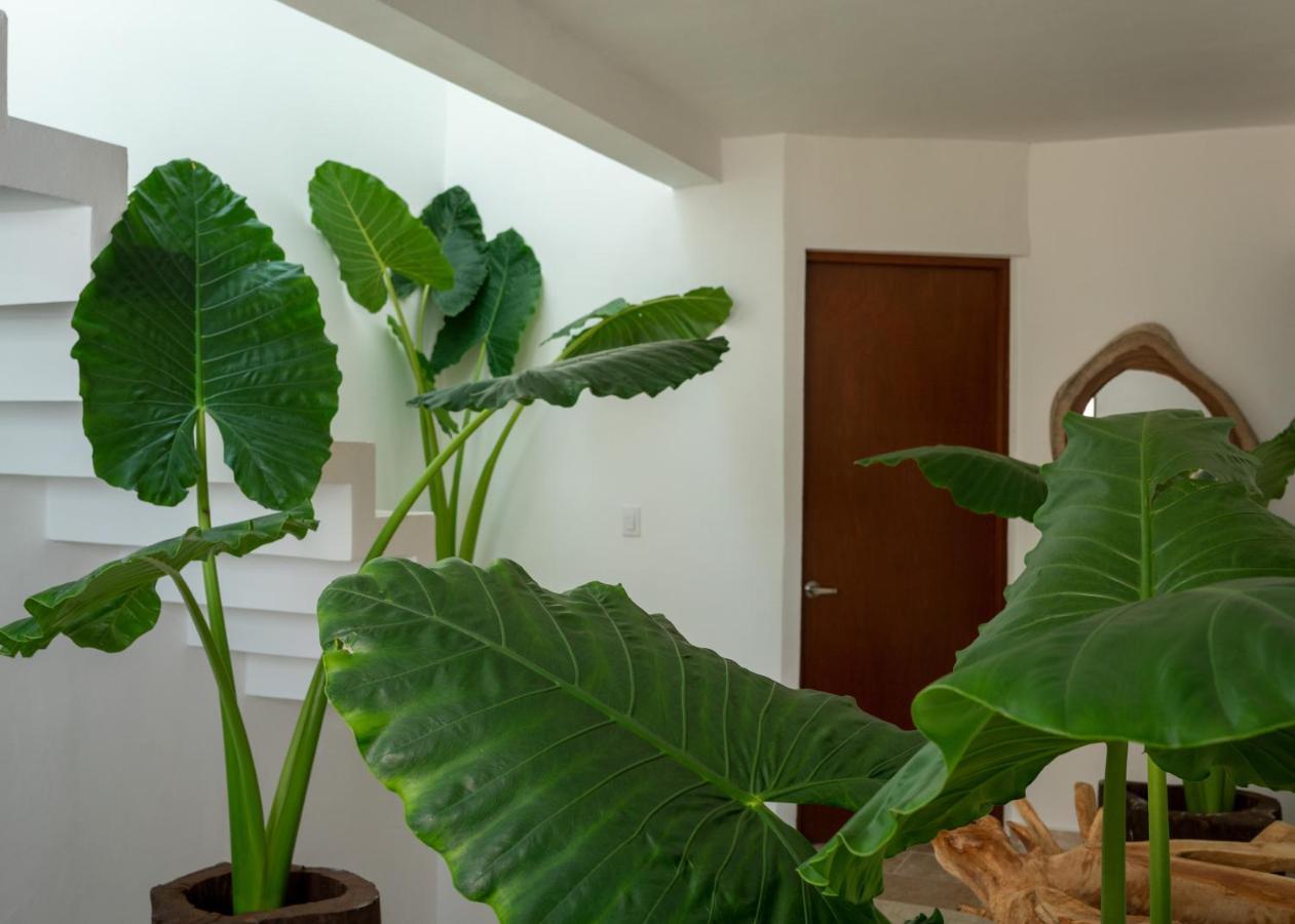 Homestay Recamara 2 Cancun
