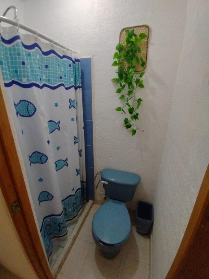 Mexico Arte Hotel *