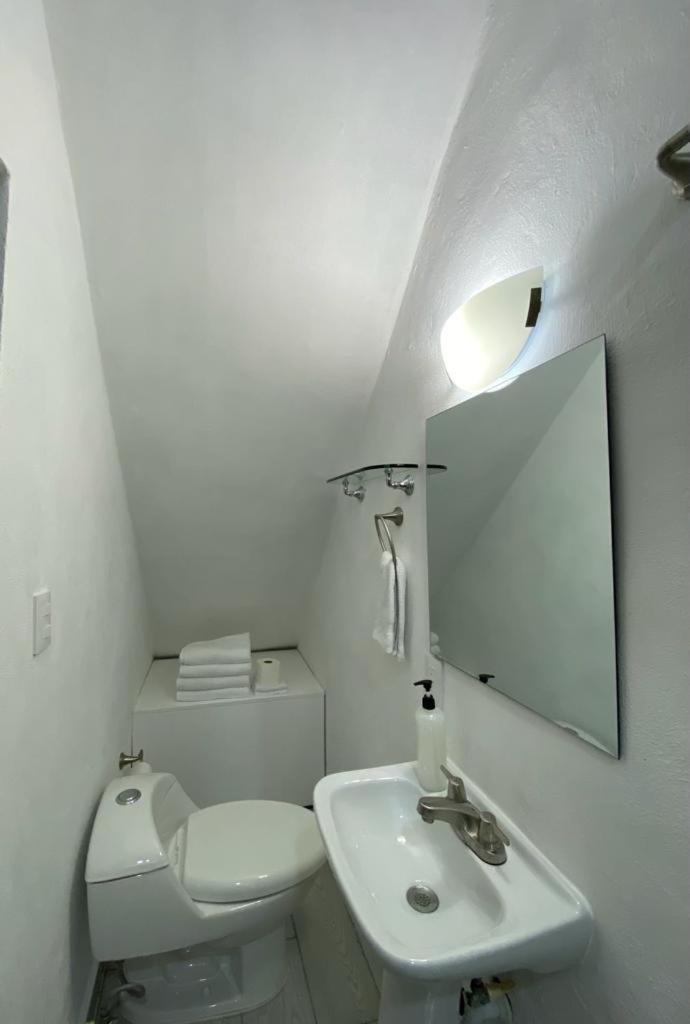 Private Loft Apartment