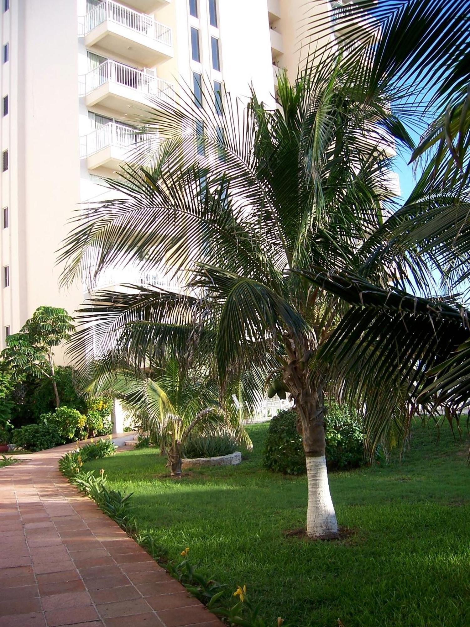 Salvia Aparts Cancún