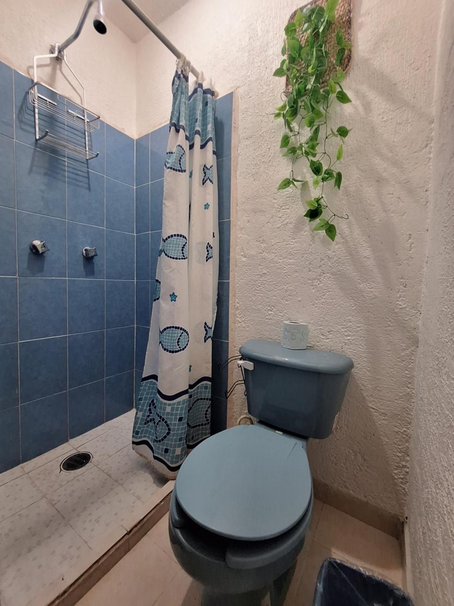 Mexico Arte *