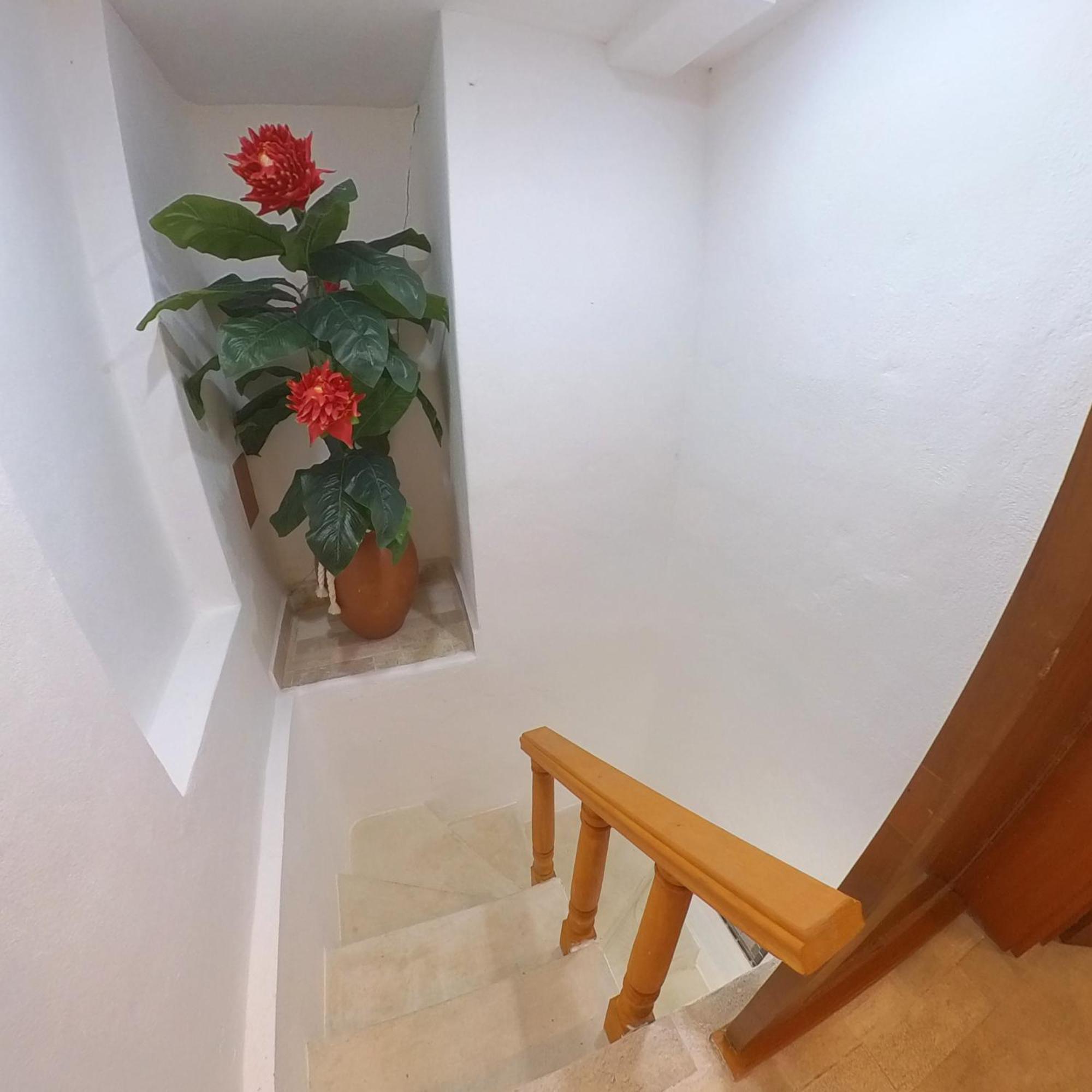 Plaza Sea View Apartment *