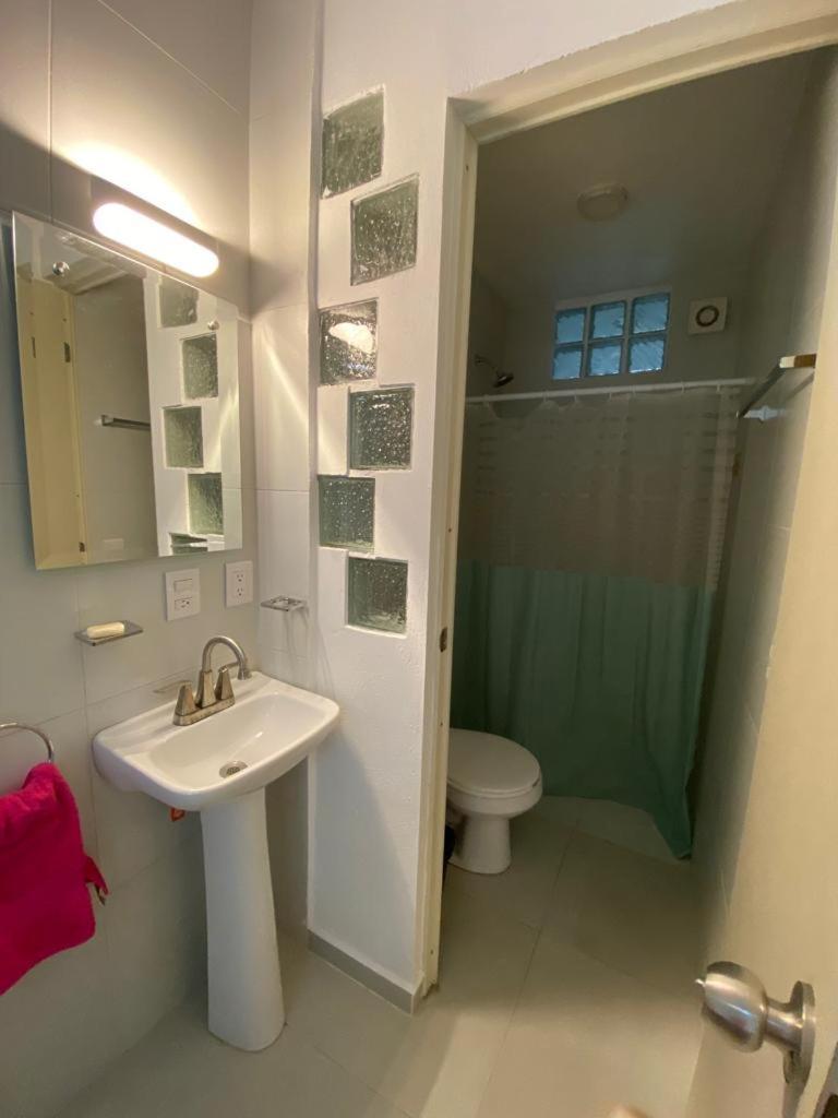 Regina Loft Apartment