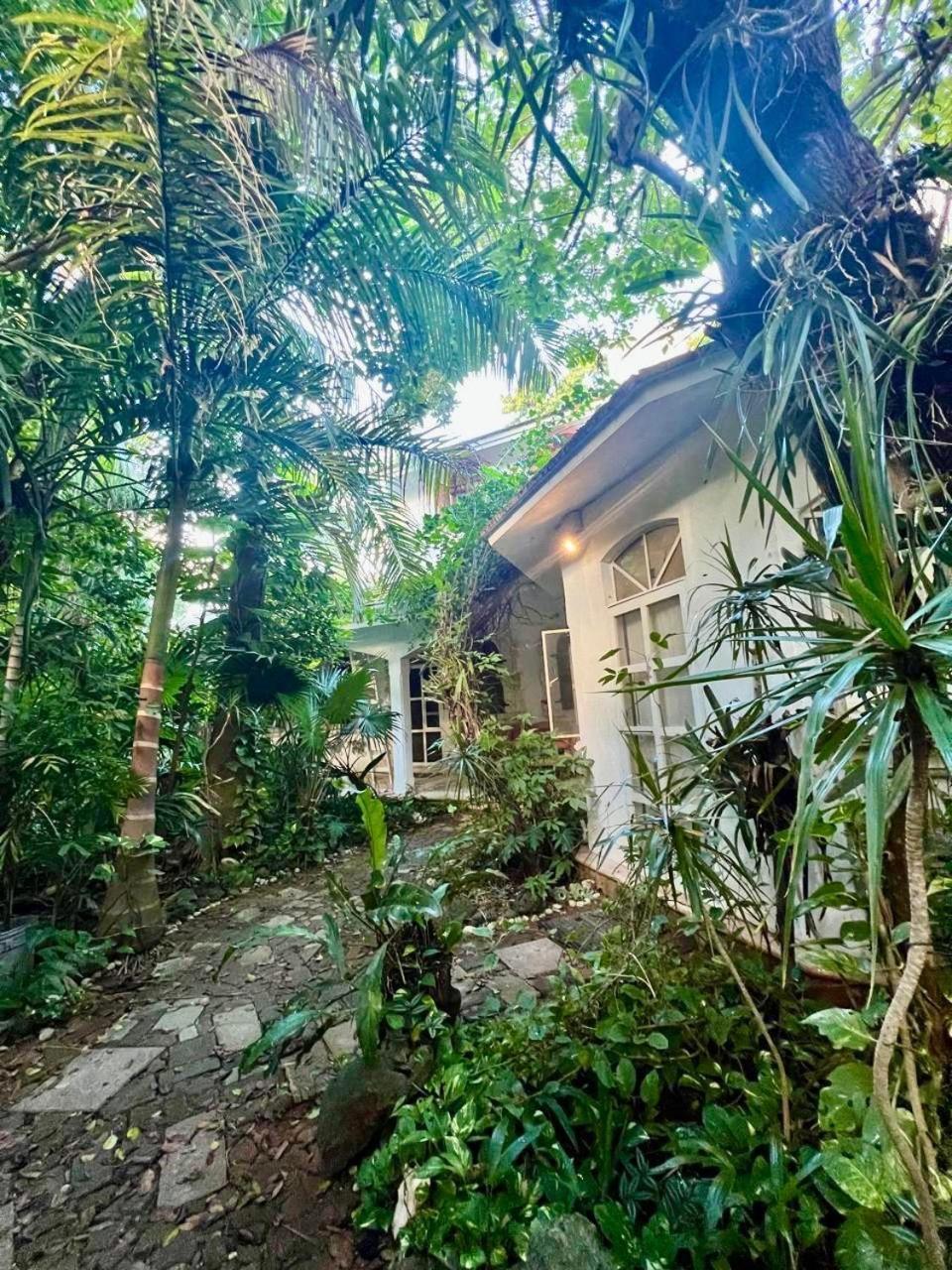 Casa Del Arquitecto Apartment Cancun