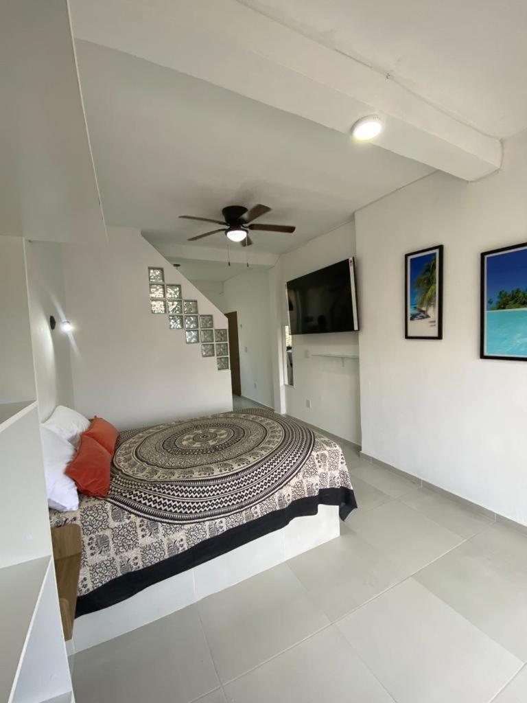 Regina Loft Cancun