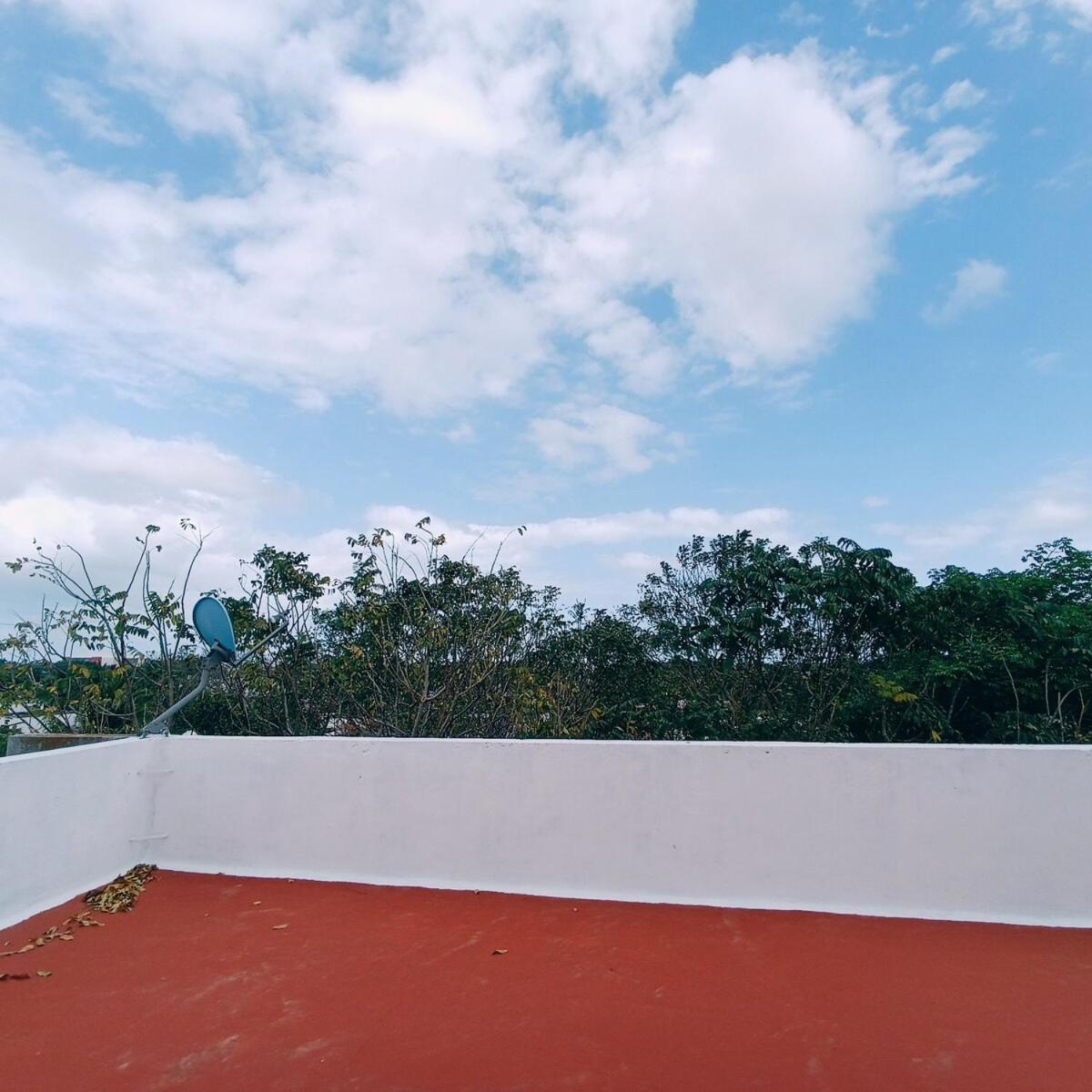 Educarte Department Apartment *