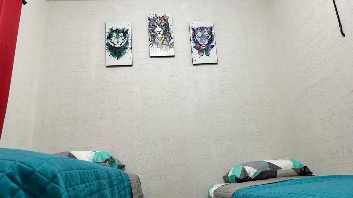 Apartment Dreams Of Arena In The Jungle Of