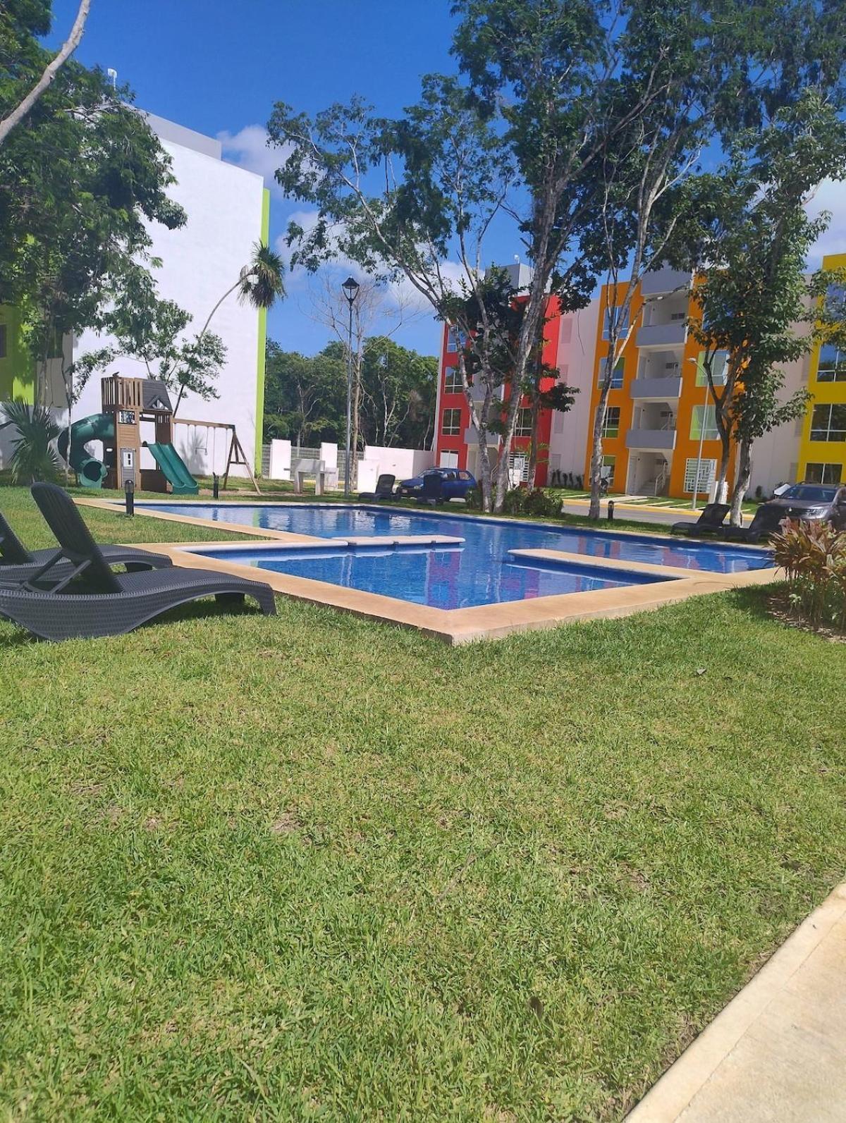 Dreams Of Arena In The Jungle Of Apartment