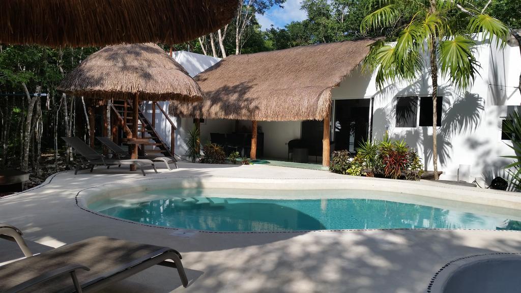 Jungle Dust Guest house 3*