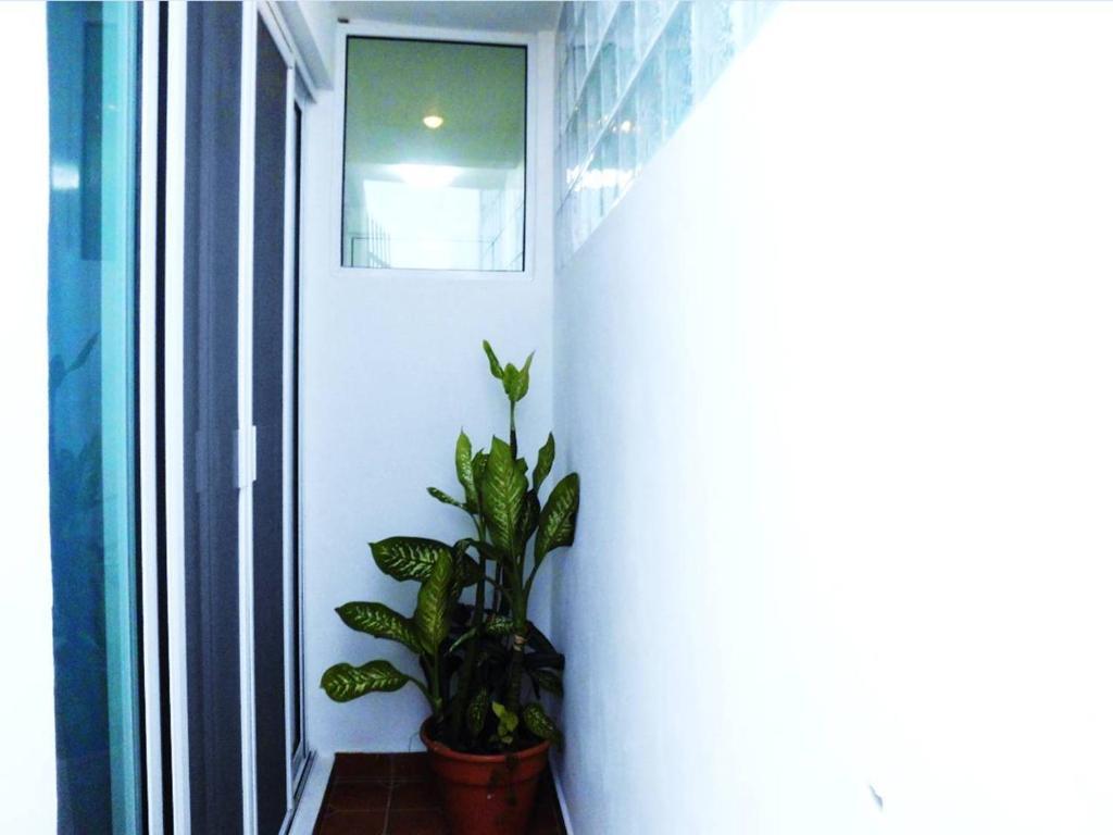 Apartment Departamentos Capdeviel Cancun