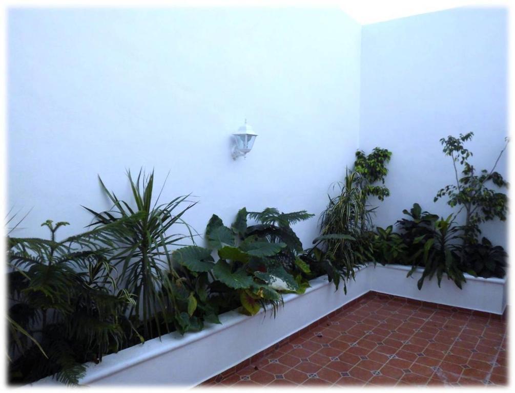 Departamentos Capdeviel *