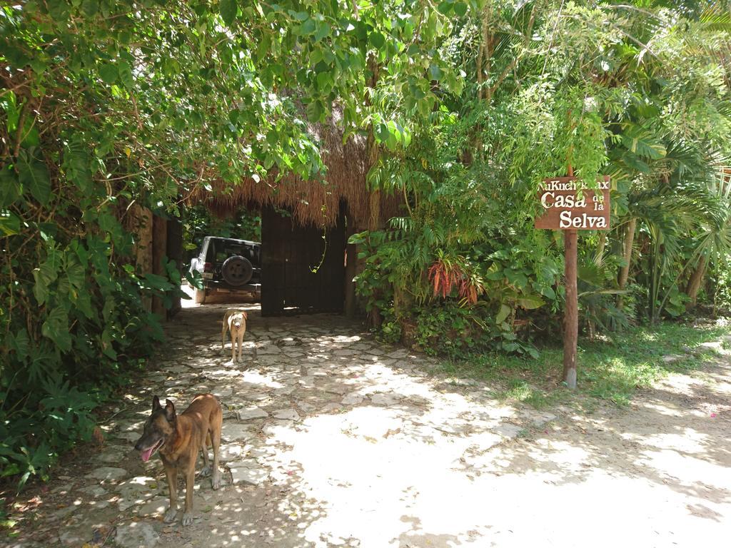 Homestay Jungle Aeropuerto *