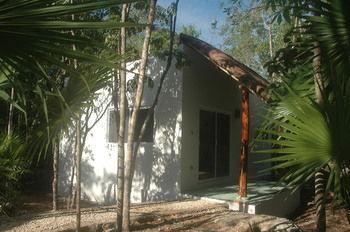 Jungle Dust Guest house Cancun