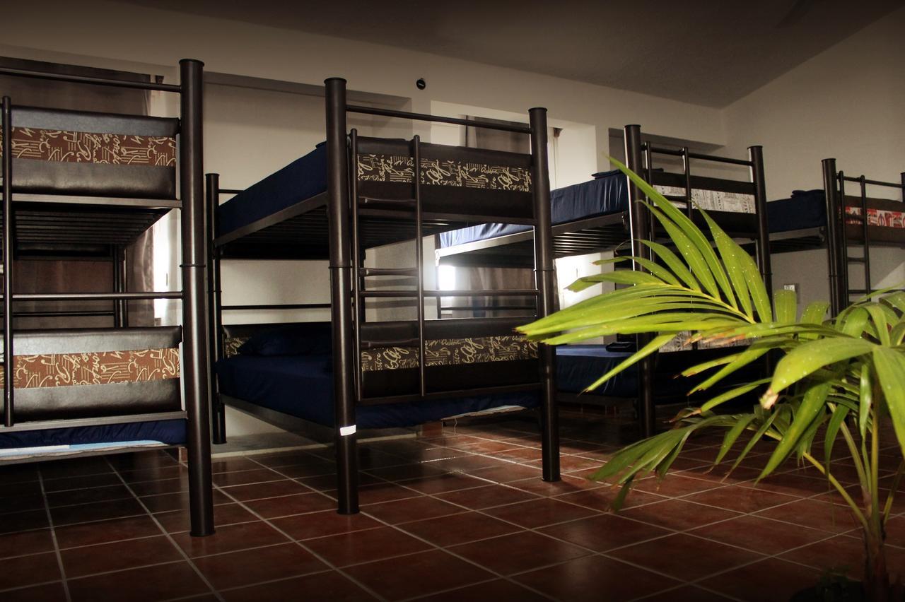 Guest house Venado *