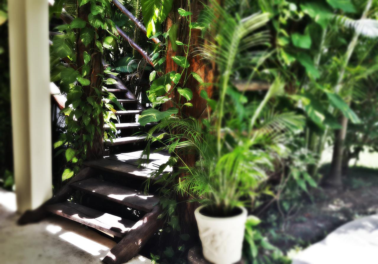 Meson De Tulum Guest house Cancun