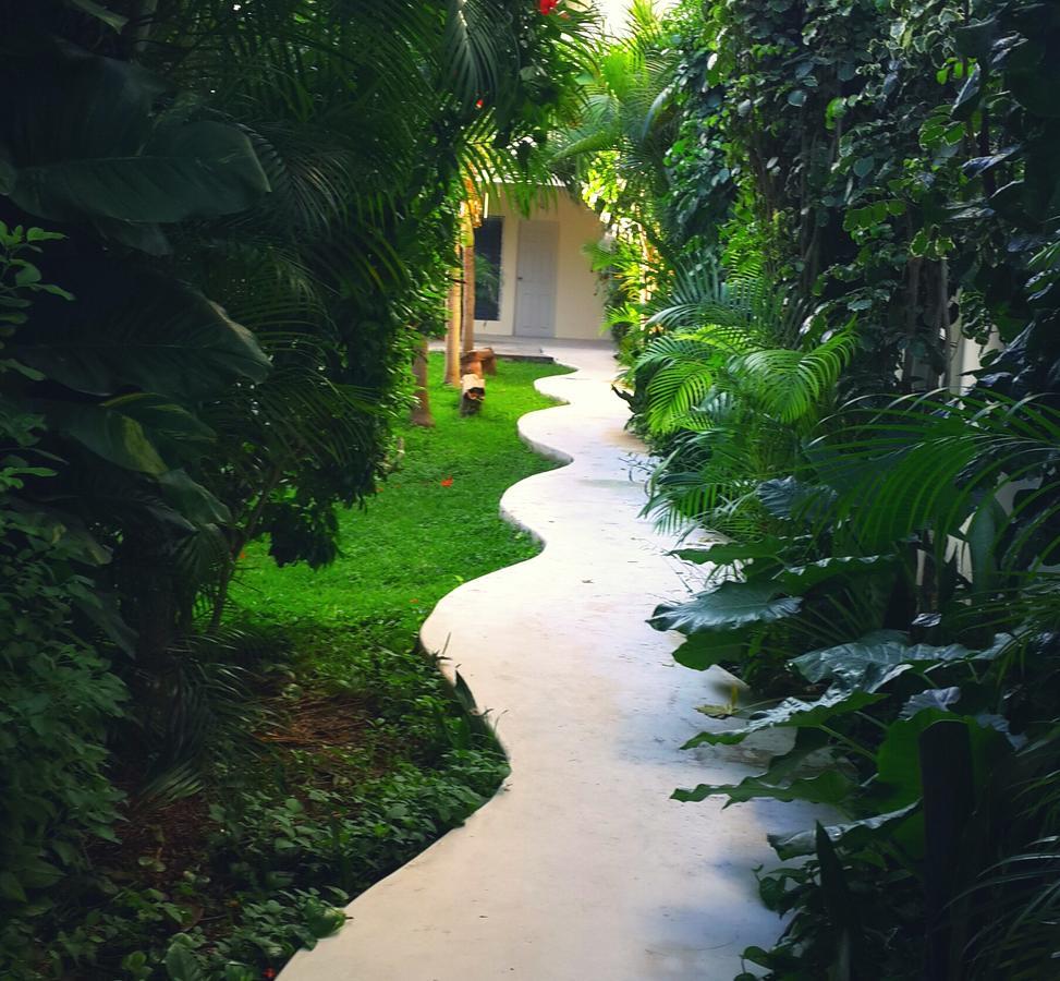 Guest house Meson De Tulum