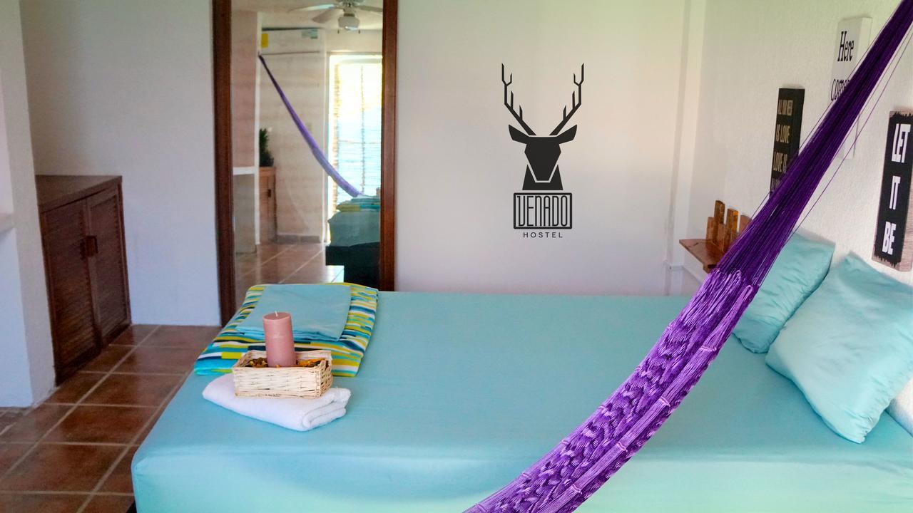 Guest house Venado