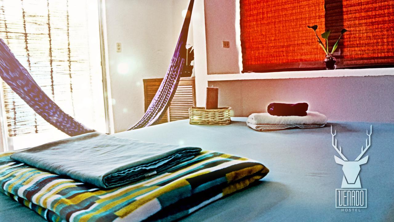 Venado Guest house Cancun