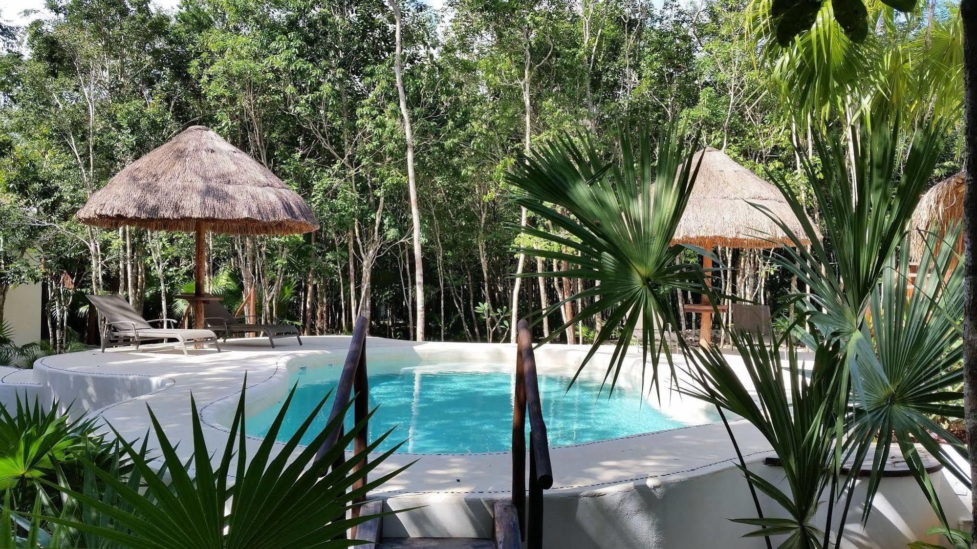 Jungle Dust Guest house