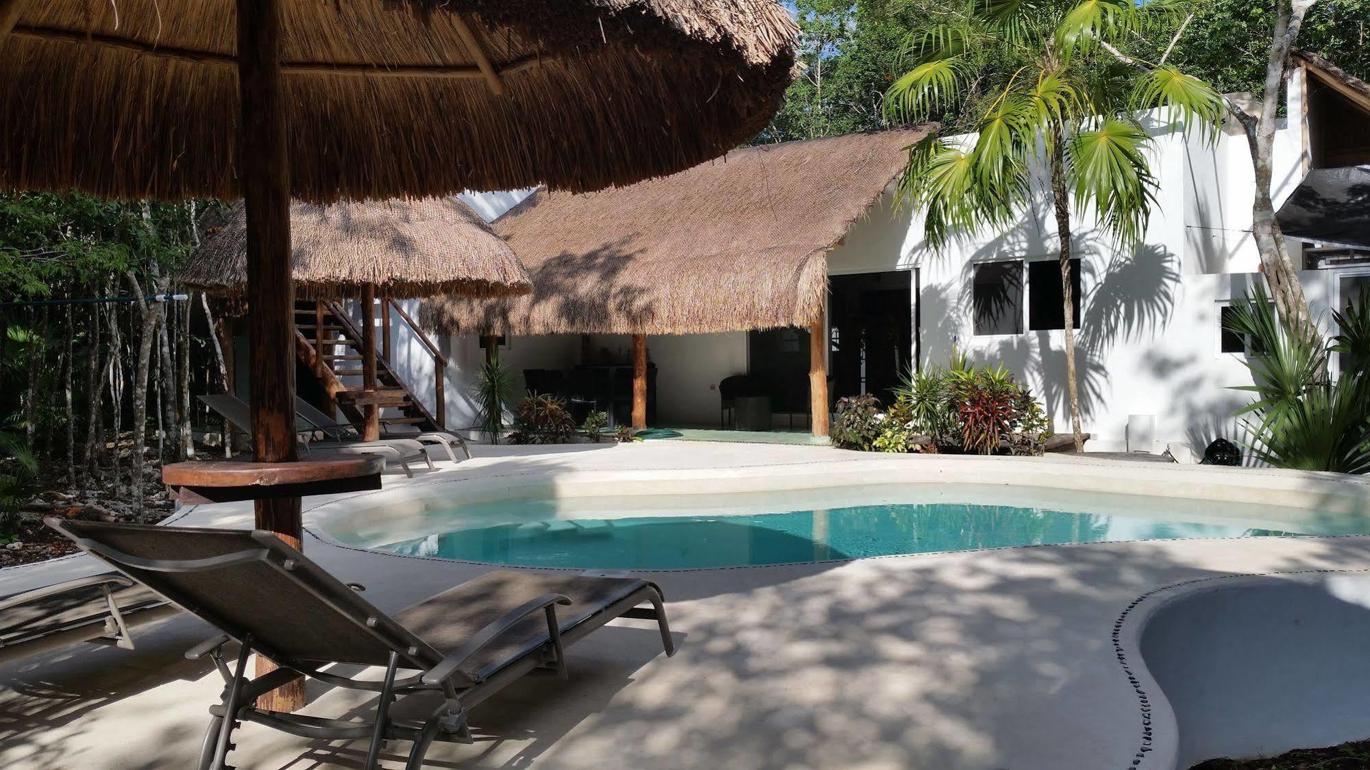 Jungle Dust Guest house Cancun