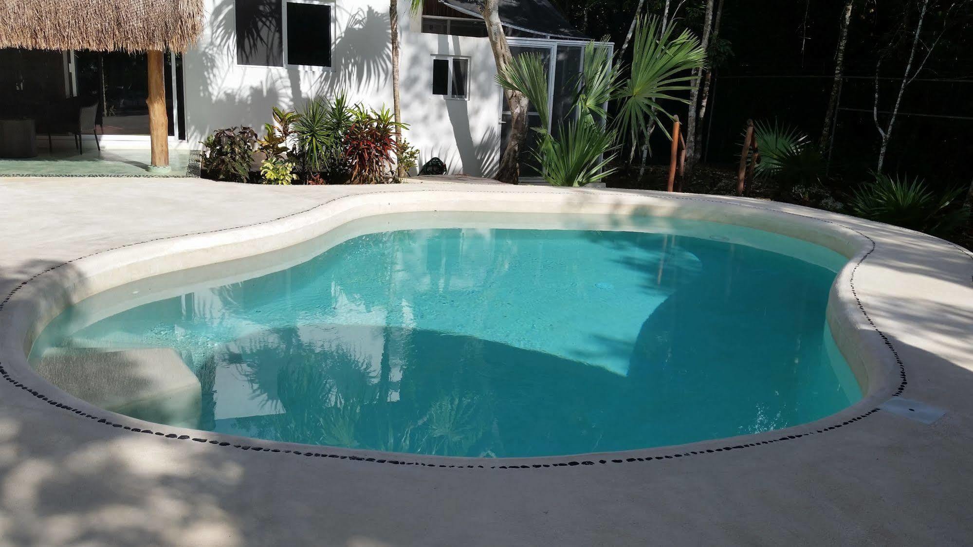 Guest house Jungle Dust Cancun