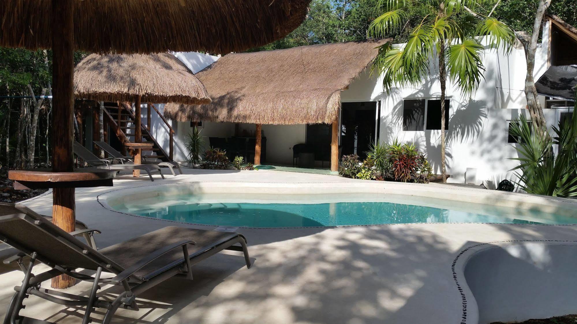 Jungle Dust Guest house 3*