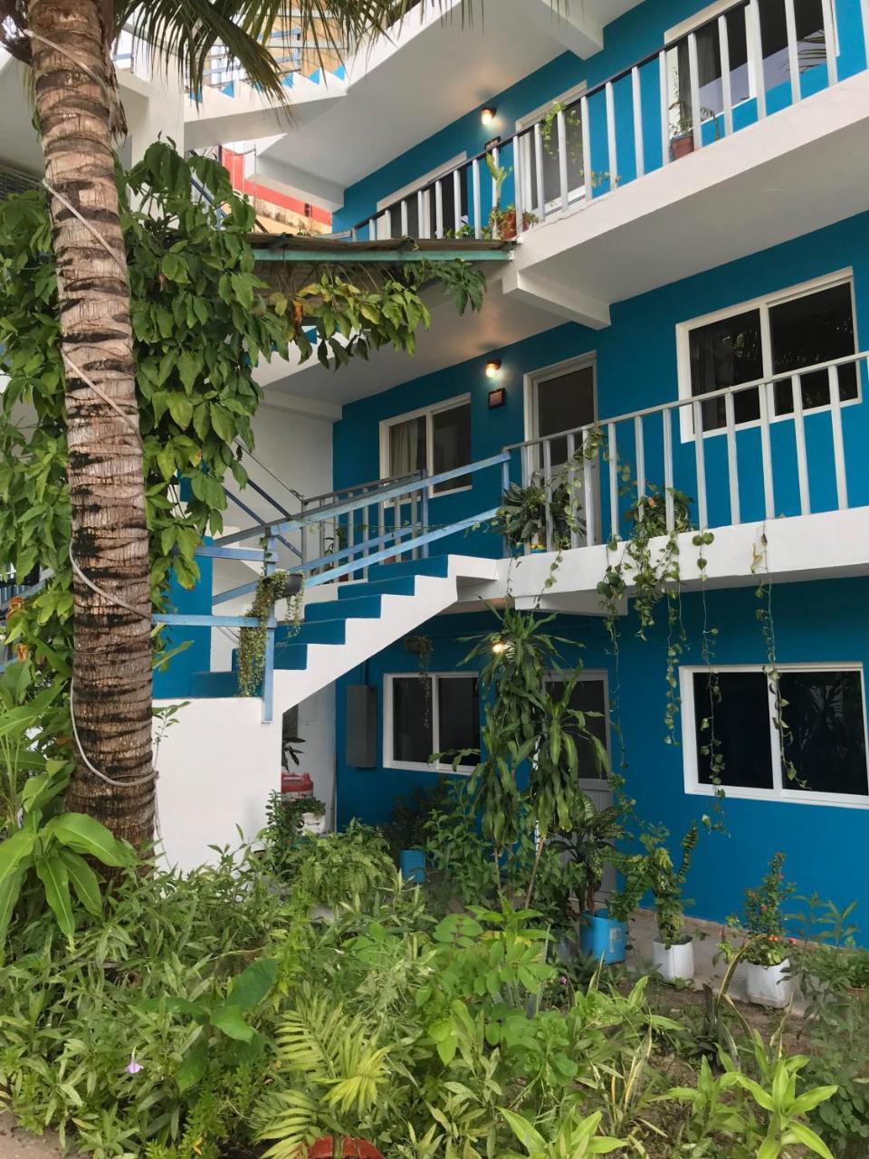 Blue Coconut Cancun