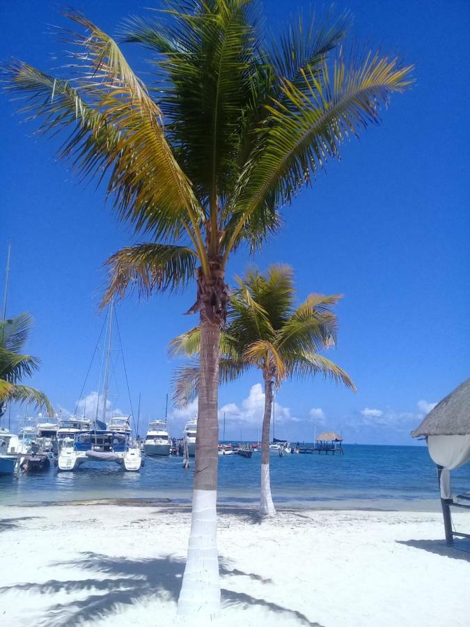 Apartamento Beautiful A Few Steps To Sea