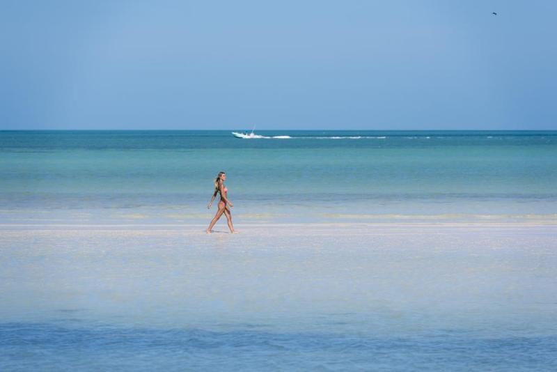 Family Selection At Grand Palladium Costa Mujeres & Hotel 4*
