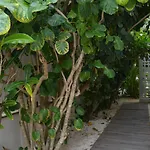 Casa Cielo Cancun