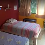 Balagan Planta Alta