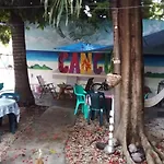 Balagan Planta Alta