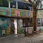 Balagan Planta Alta
