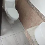 Lanegra