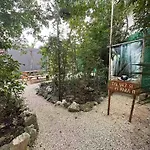 Living The Noom