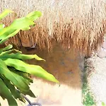 La Morena Hotel