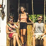 Venado Hostel