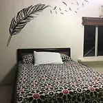Violeta\'S House
