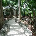 Casita Rustica En La Selva